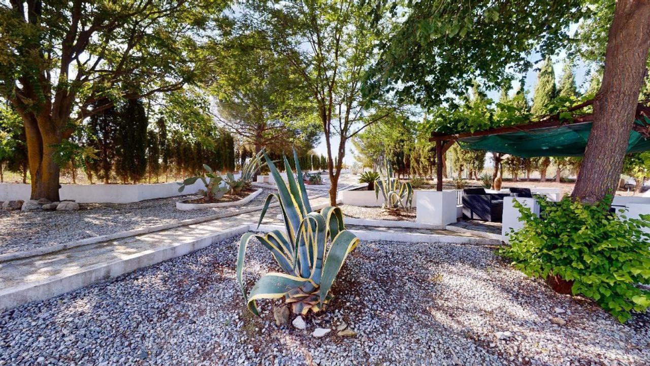 Casa Lucia Bed & Breakfast Caniles Exterior foto